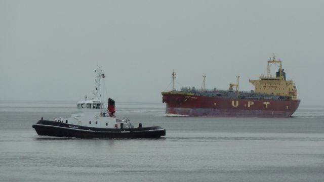 Belle ile - estuaire - 27 juin 2012.JPG